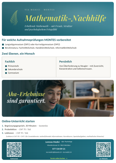 MONTES Mathematik-Nachhilfe Flyer – Vorschau